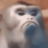 ChawseRP