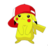 rishu