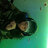 gorza