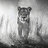 Ismael_004