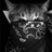 Darknightstx
