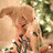 Matek_527