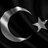 halil31