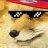 Twifox