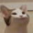 masterRi