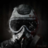 HMDVOID