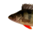 memanasaa