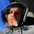 zvi-