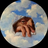 Maxime_BNB