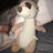 nils2234