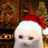 osnale_hw