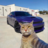 Agile_Partic