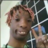 formnek