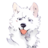 GuikIPT