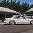 pine_11