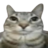 icozypaws
