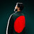 dr_lanin