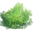Soaaz