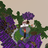 rewary