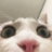 Lilfanumbro