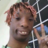 QxcklyHim