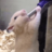 noahthefatty