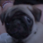 Niezz