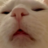 ddinhtien
