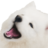 Hartsi