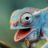 meerutcase