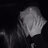 Nolan_smith