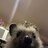 kevinxxx