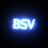 BSV070