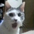 MrBlep