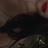 fwqfwfgqwgqg