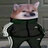 B0risz