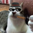 George_91012