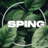spingout