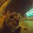 diogomes005