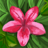 blancooo