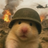 DaMiHD