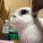 ginzzp2