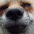 SkippyDoes1