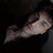 Hexedas