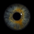 AsTr_FireCas