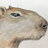 animalmistic