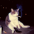 memoryreader