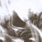 FableThe