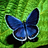 abhishikth_k