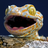 testsaffas44
